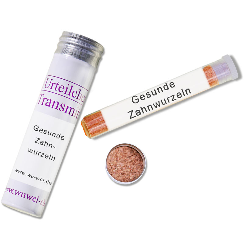 GesundeZahnwurzeln UT-Transmitter