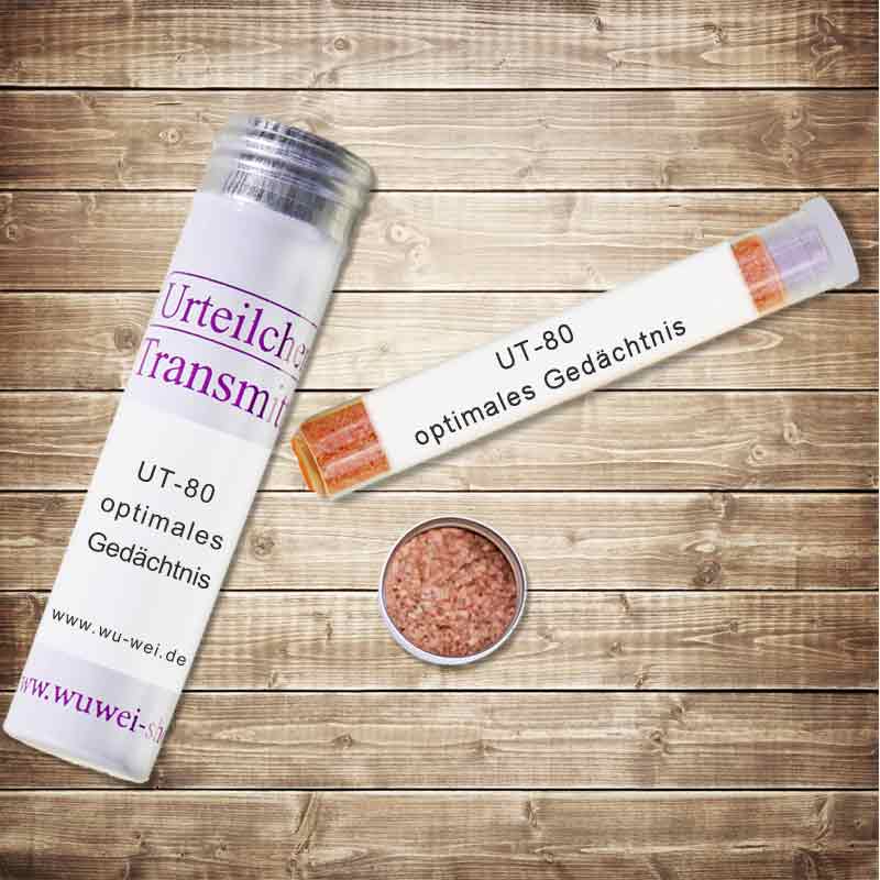 Optimales Gedächtnis UT-Transmitter