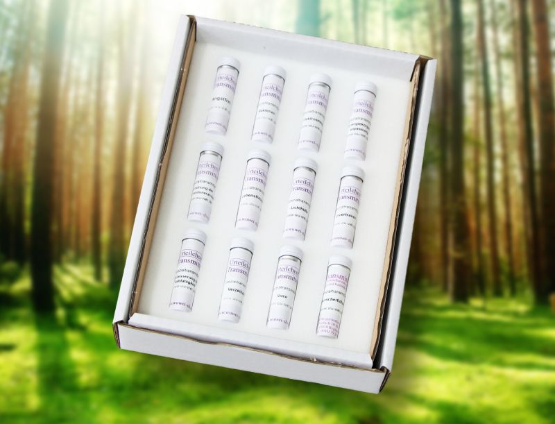 Vitalpilz-Transmitter-Set 12 Stück T-220 bis T-229 + T-251 + T-252