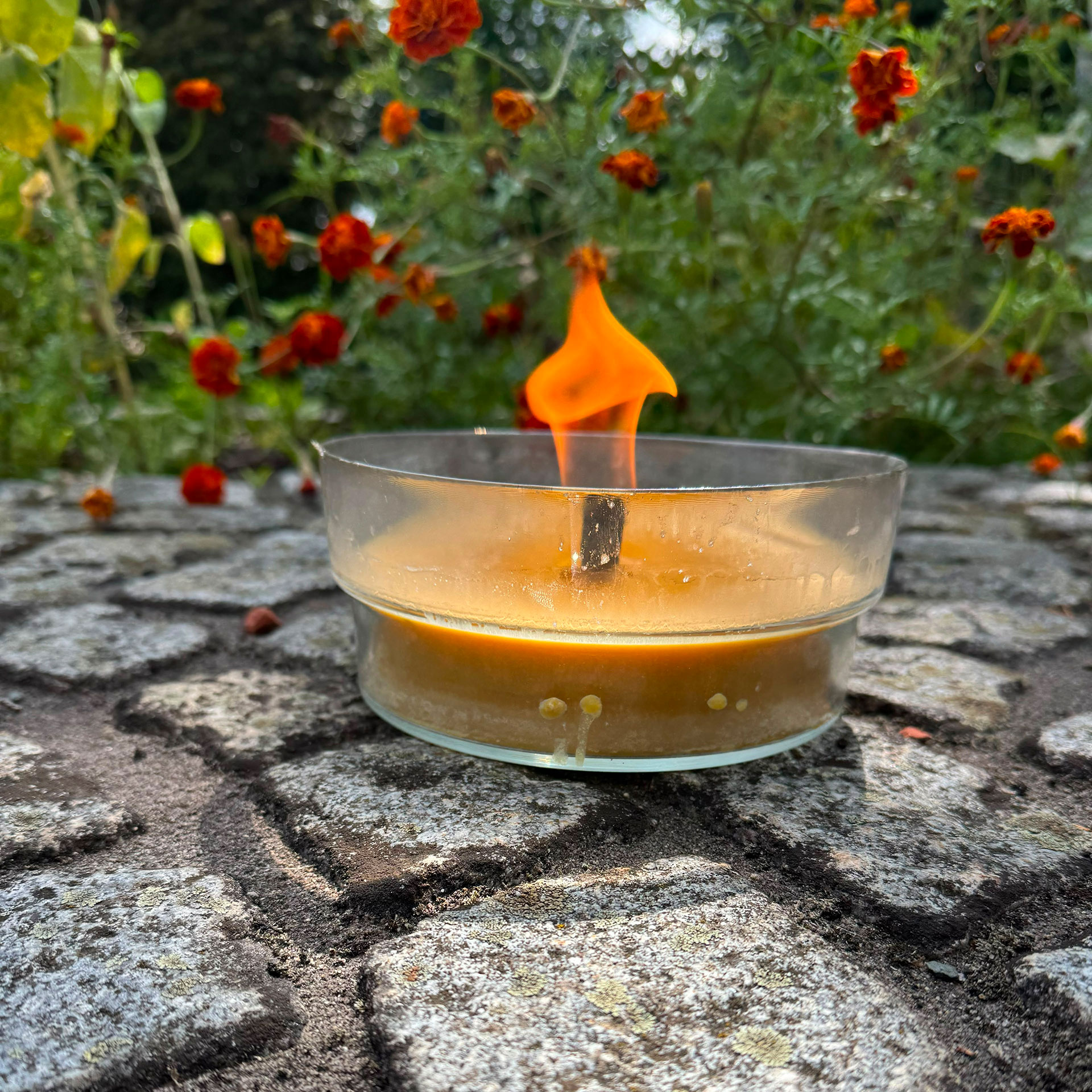 Herzlicht-Kerze Gartenfackel mit Citronella - versch. Farben