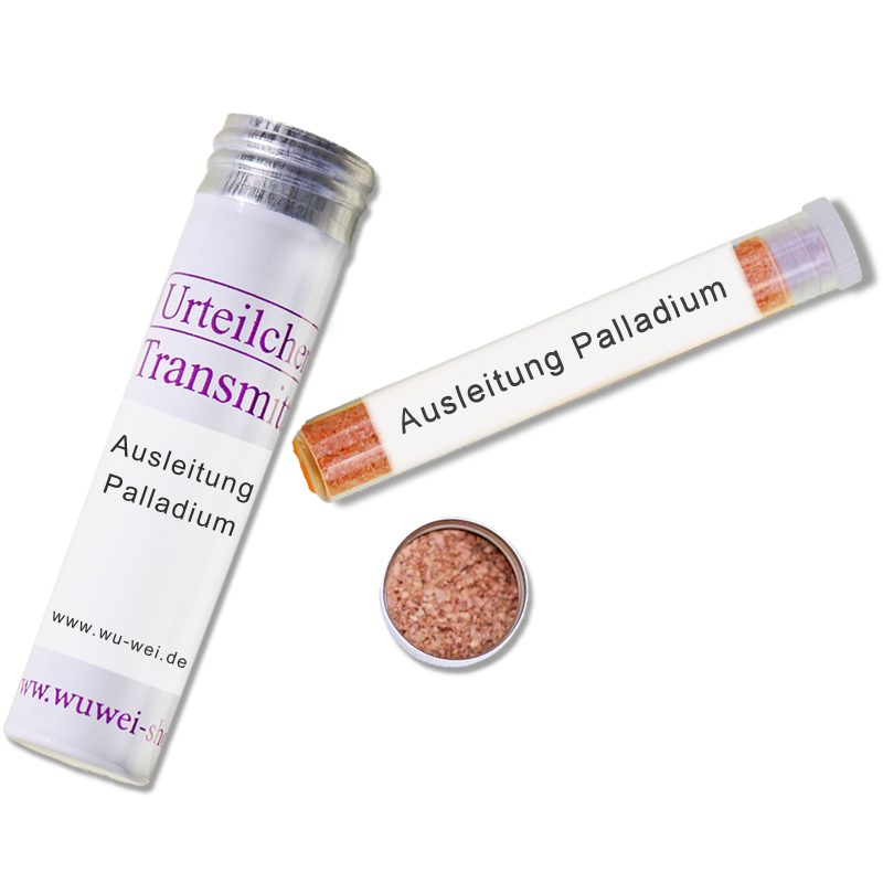 Ausleitung Palladium UT-Transmitter