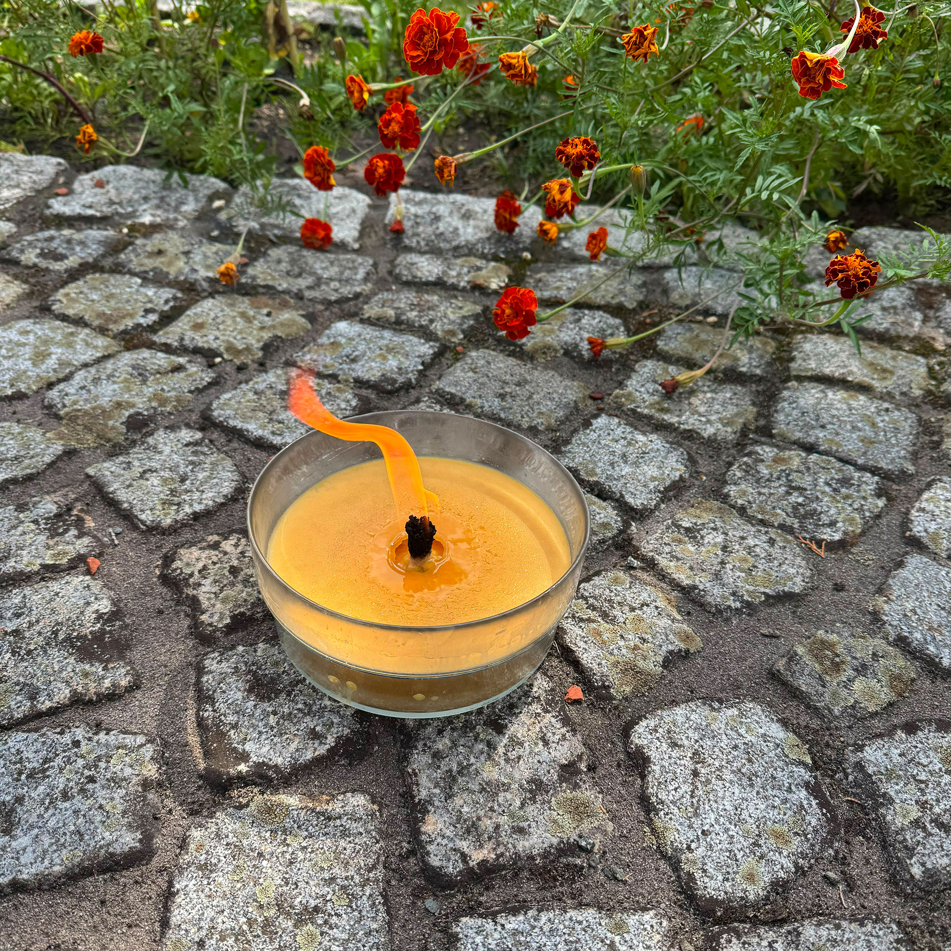 Herzlicht-Kerze Gartenfackel mit Citronella - versch. Farben