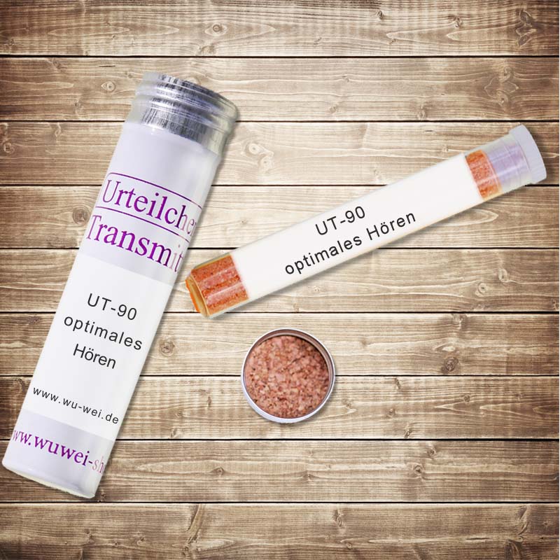 Optimales Hören UT-Transmitter