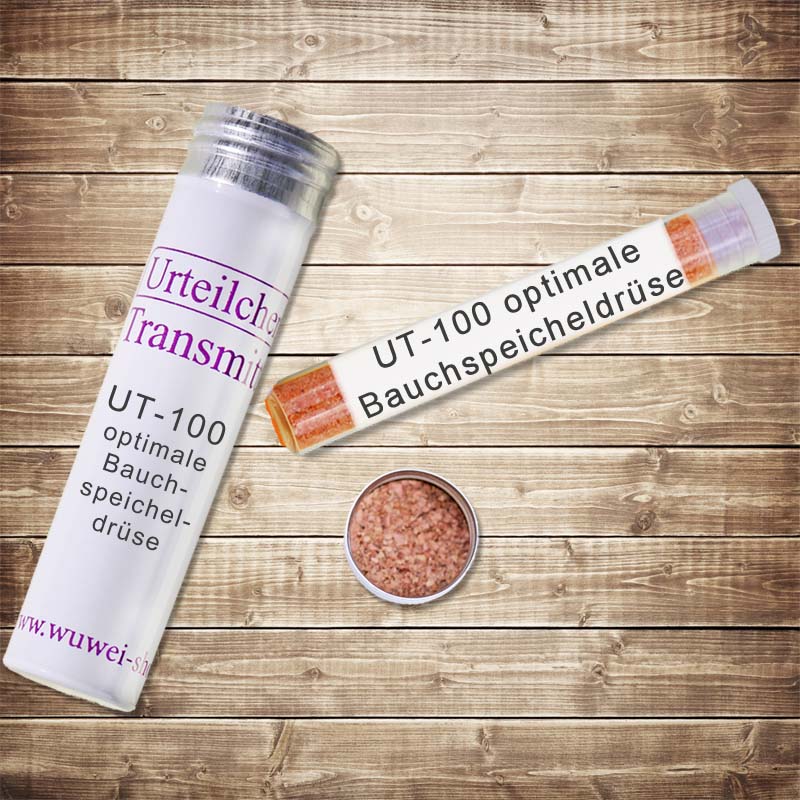 Optimale Bauchspeicheldrüse Regeneration und Harmonisierung UT-Transmitter