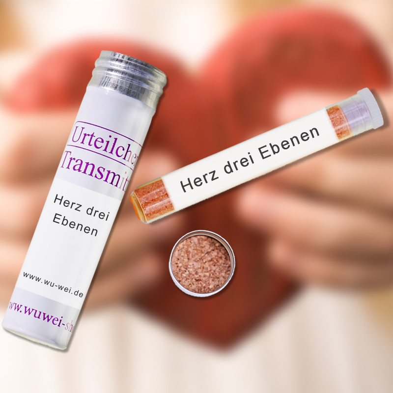 Herz - drei Ebenen UT-Transmitter
