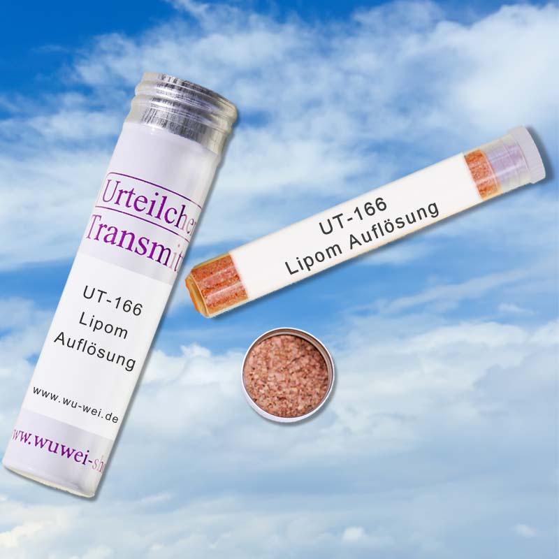 Lipom Auflösung UT-Transmitter