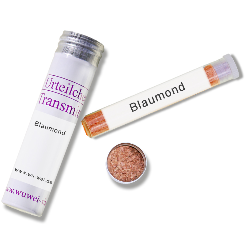 Blaumond UT-Transmitter