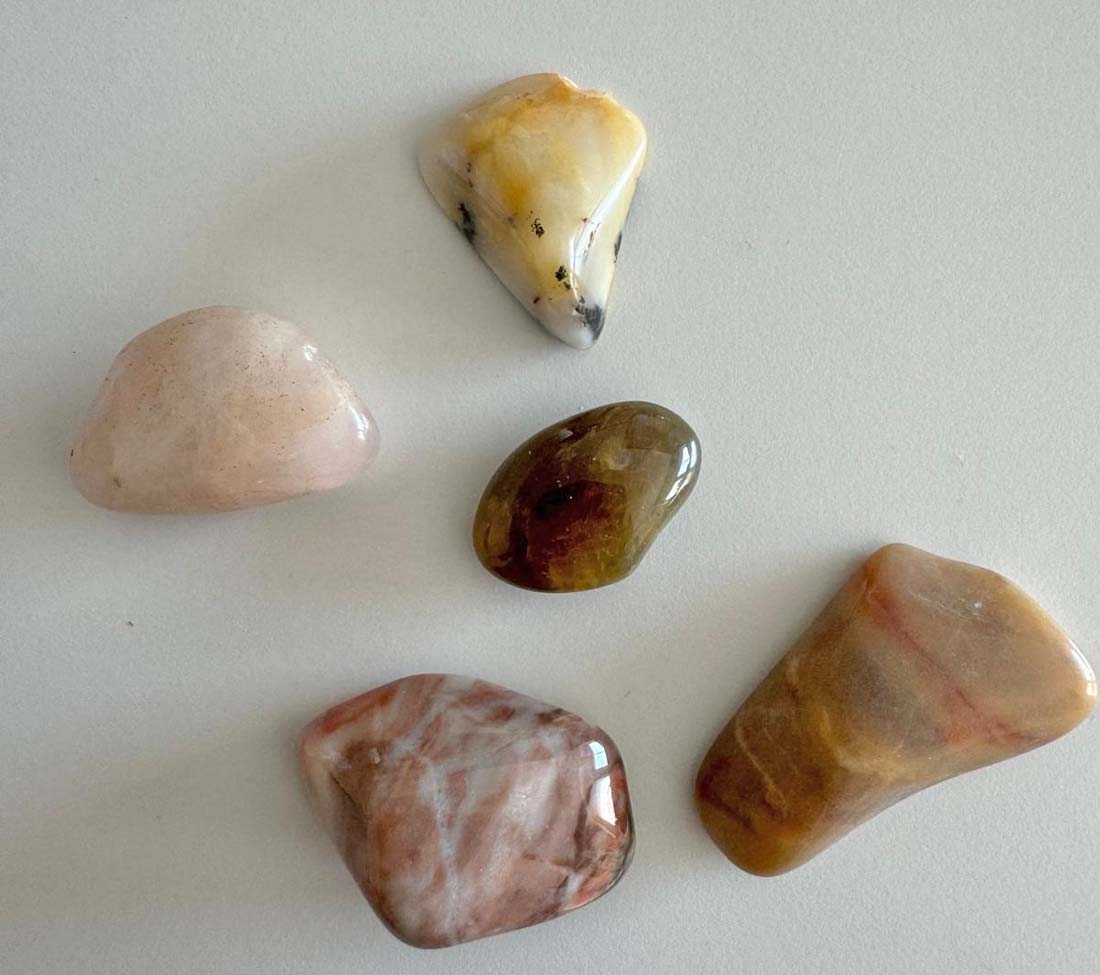 Versteinertes Holz im Stoff-Säckchen 50g